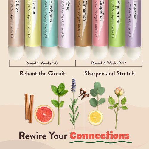 Smell training kit - smell,